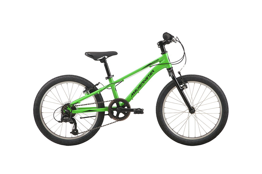 Malvern Star Attitude 20"