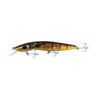 Barra Classic 10ft 200mm