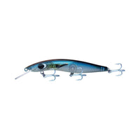 Barra Classic Ghost 10ft 120mm