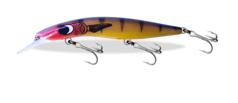 Barra Classic 15ft 120mm