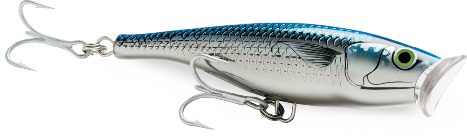 Rapala Saltwater Skitter Pop 12cm – Mullet