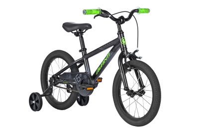 Avanti Shadow 16"