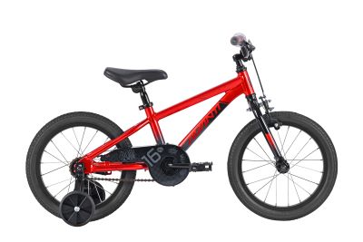 Avanti Shadow 16"