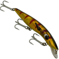 Barra Classic 120mm 10ft 12 Gold Mullet Dazzler