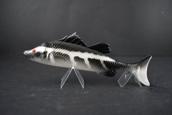 Fuze Bazza Bait 12cm 12cm / Baby Barra