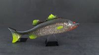 Fuze Bazza Bait 12cm 12cm / chrome
