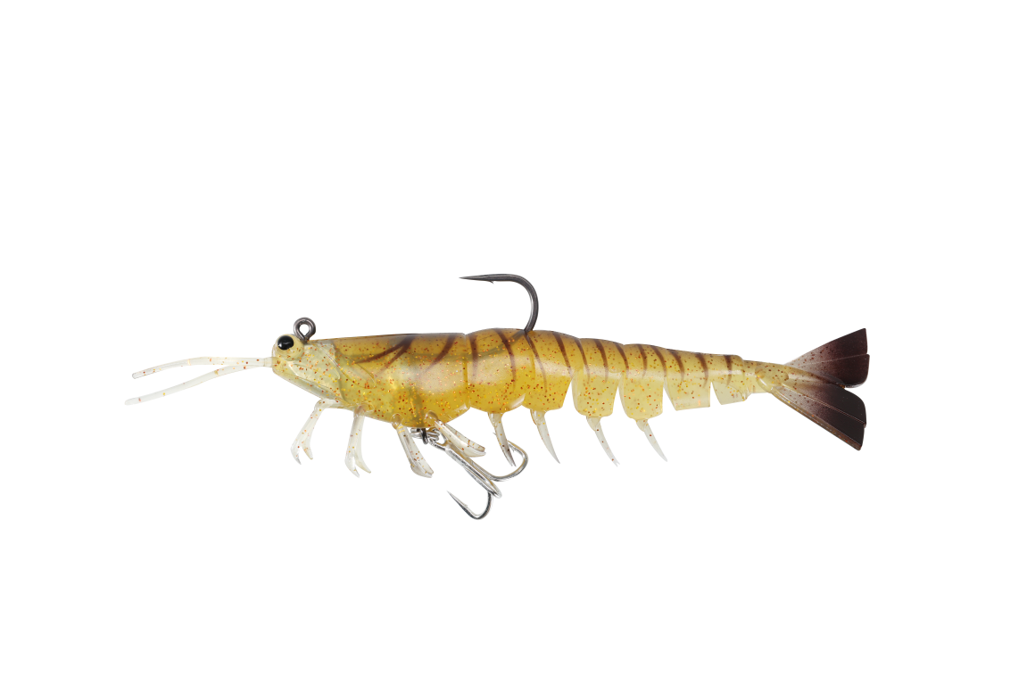 Irukandji Megaprawn DTF 115mm / Cockroach