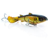 Chasebaits Drunken Mullet – Gold Shiner