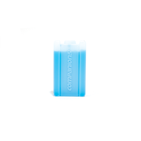 Companion regular ice brick, small 150 ml, model 10000097