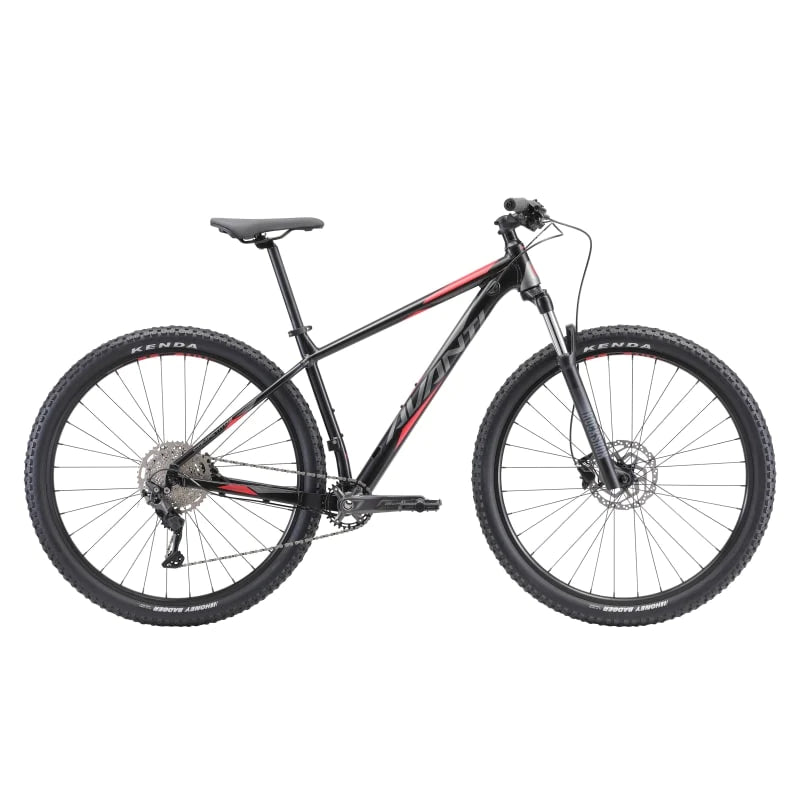 Avanti Competitor 1 MTB