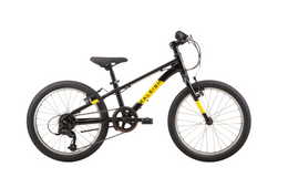 Raleigh Eliminator 20"