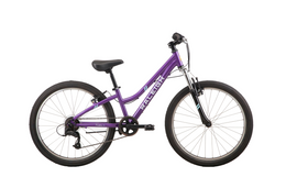 Raleigh Freedom 24"