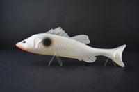 Fuze Bazza Bait 18cm - Pearl White