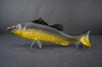 Fuze Bazza Bait 18cm - Swamp Barra