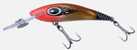 Gillies Warlock 80 2.5m Gold Nitro Dazzler
