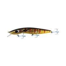 Barra Classic 15ft 120mm