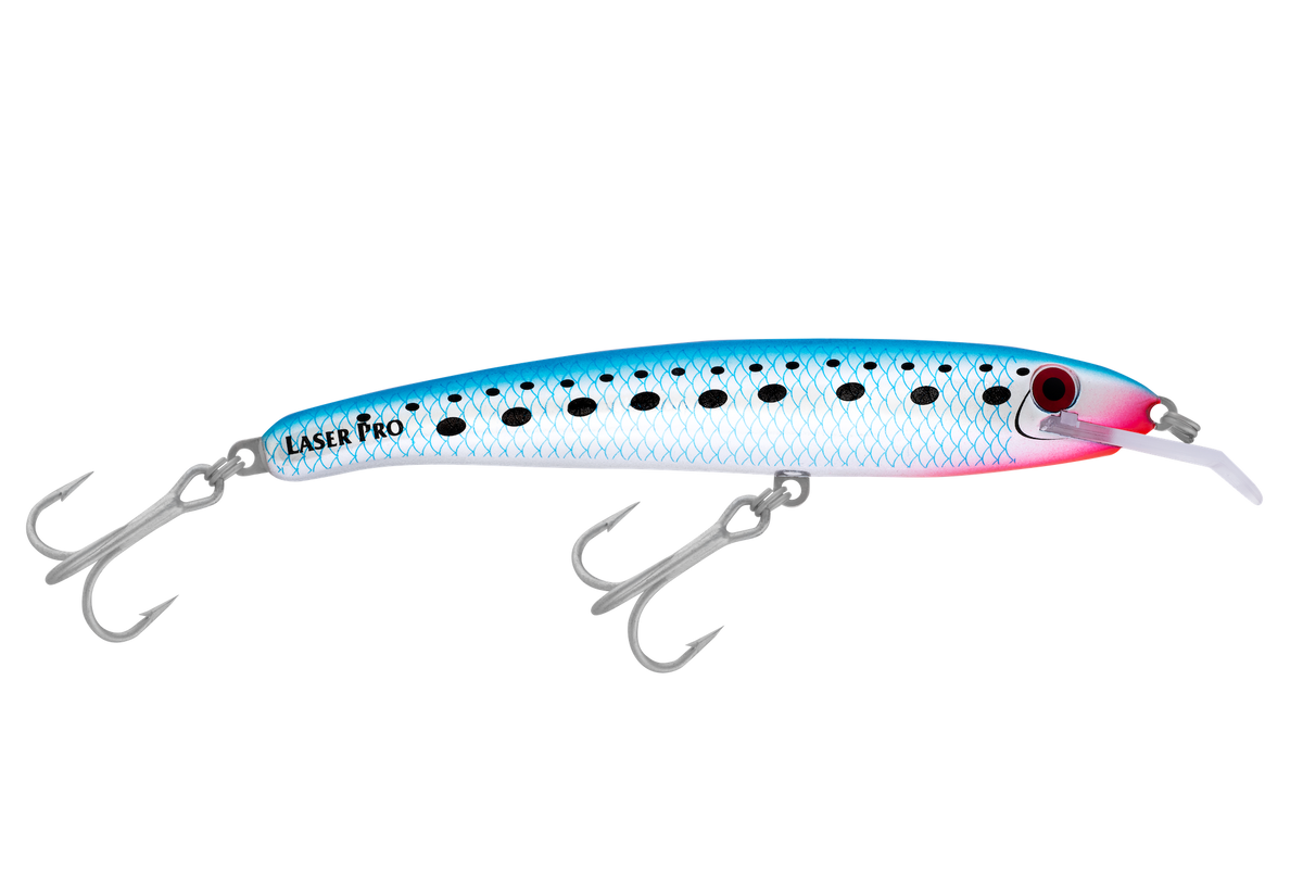 Halco Laser Pro DD — 160mm / H50 Pilchard