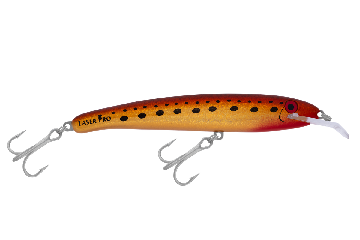 Halco Laser Pro DD — 160mm / H70 King Brown