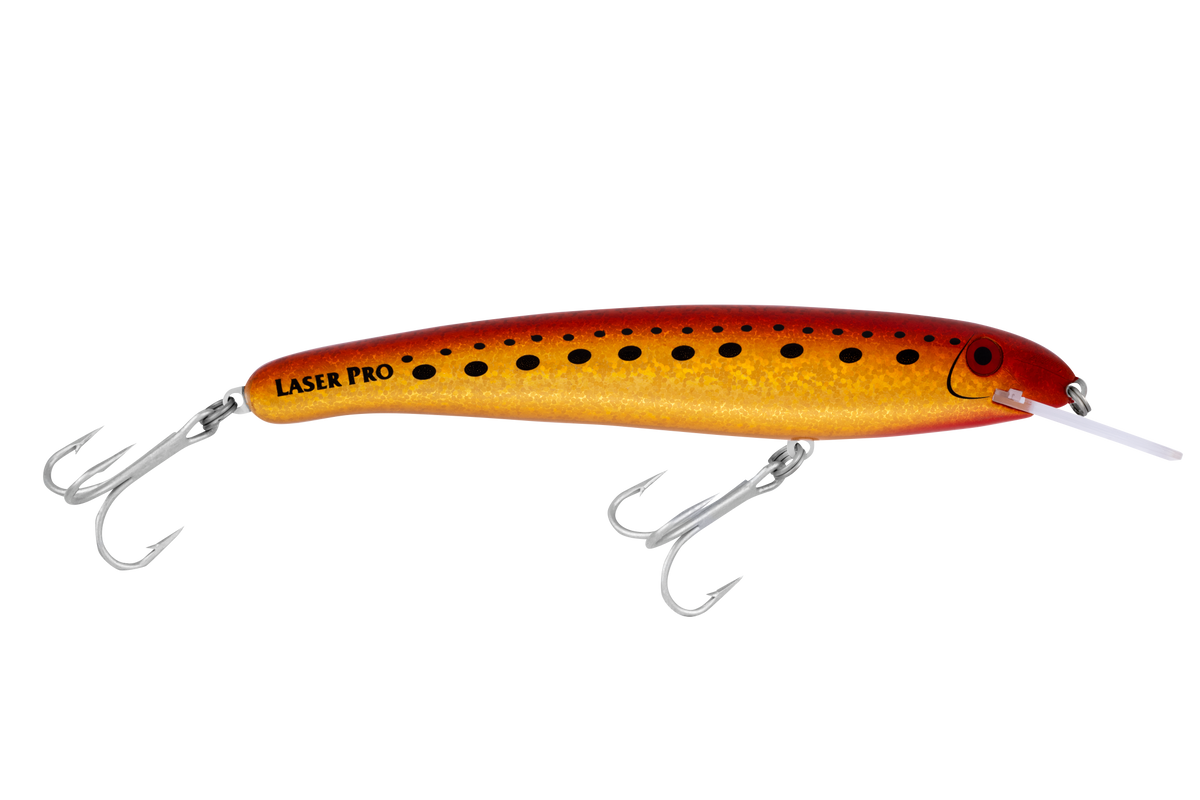 H70 King Brown colour illustration only; bib may differ. Product offered is Halco Laser Pro 190 STD, labelled 1 m.