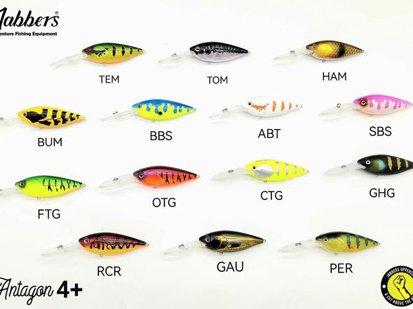 Jabbers Antagon 83mm 4m+ supplier colour chart