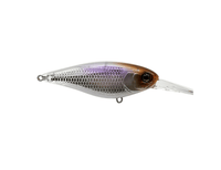 Jackall Super Squirrel Flat 79mm Uroko Vision Waka manufacturer colour illustration