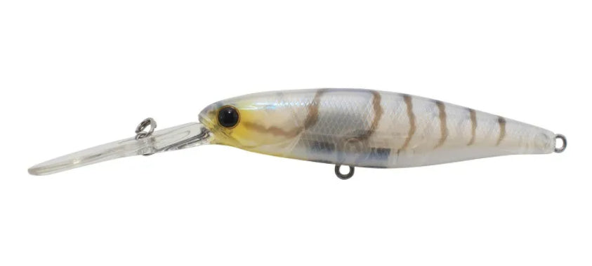 Jackall SDD Squirrel 79mm Suji Shrimp manufacturer colour illustration