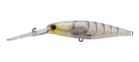 Jackall SDD Squirrel 79mm Suji Shrimp manufacturer colour illustration