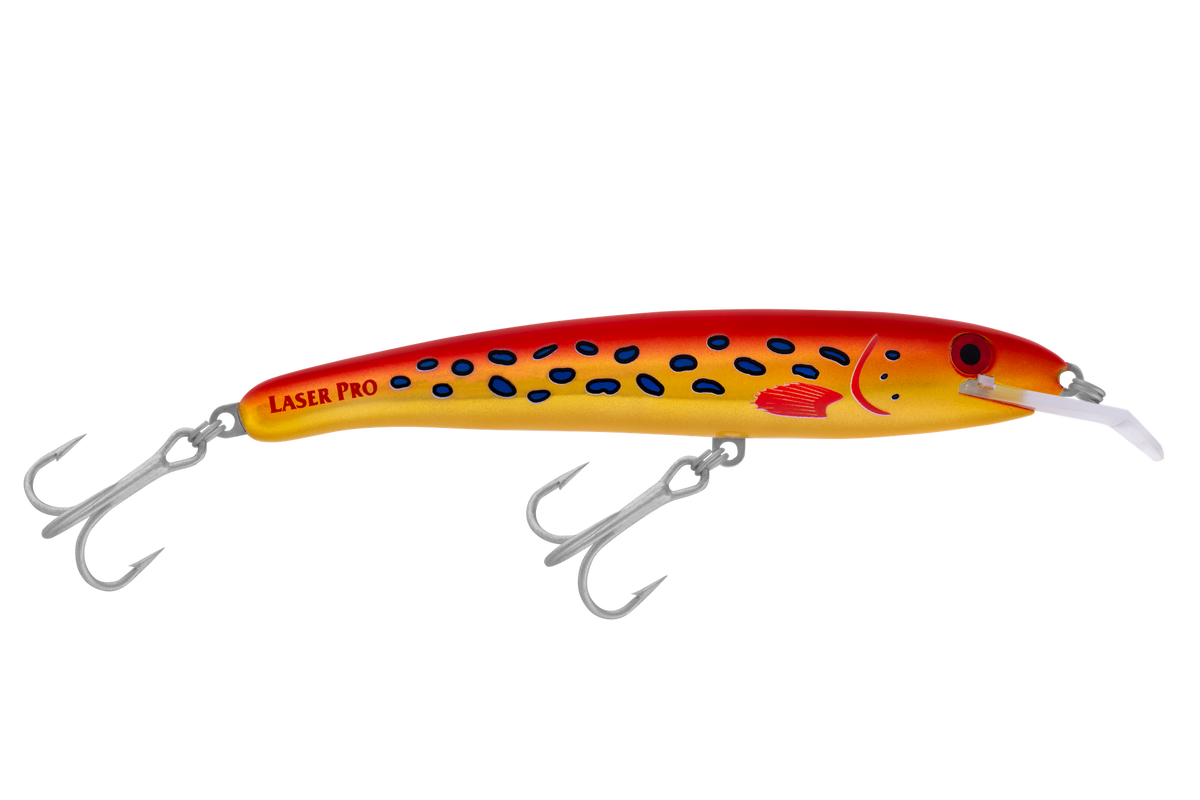 laser-pro-160-xdd R9 Coral Trout