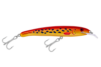 laser-pro-160-xdd R9 Coral Trout