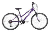Radius Lynx 24"
