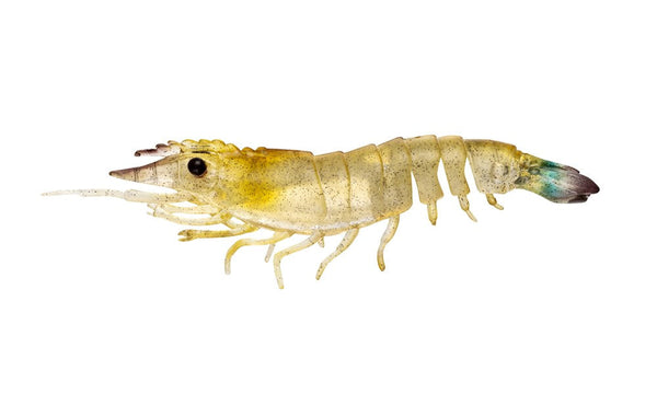 Nomad Sumo Shrimp Unrigged - 6.5inch / Fried Banana