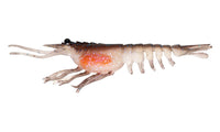 Nomad Switcher Shrimp - 4.25inch / Brown Flasher, 5inch / Brown Flasher