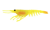 Nomad Switcher Shrimp - 4.25inch / Chartreuse UV, 5inch / Chartreuse UV