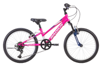 Radius Ponytrail 20"