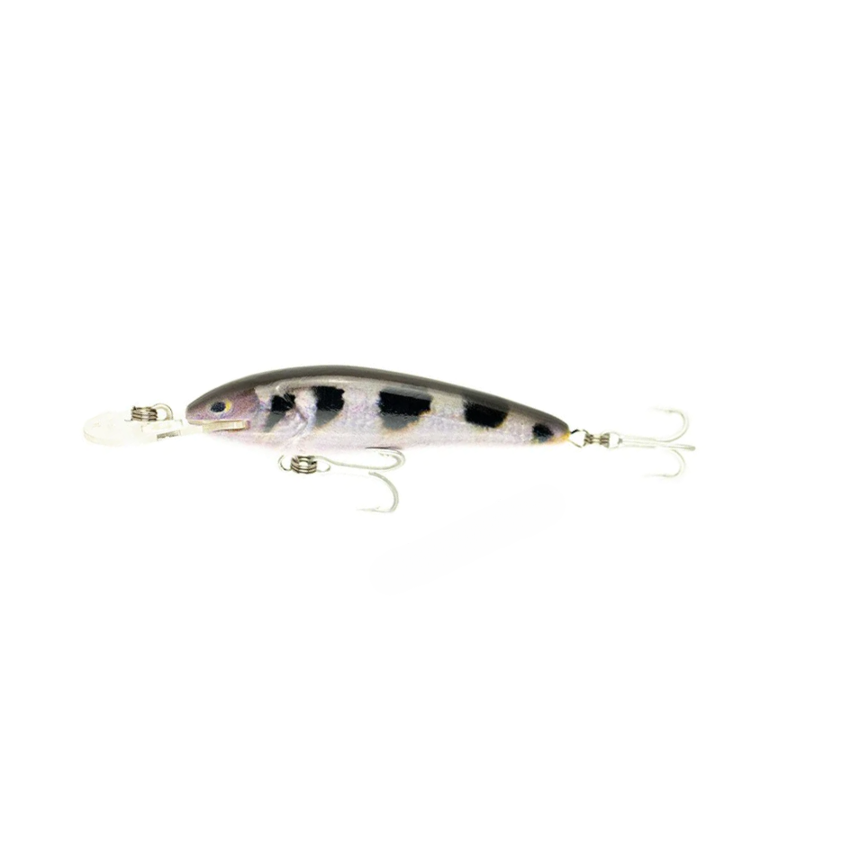 Raptor Jack Snax Suspending Live – 7ft / Archer Fish