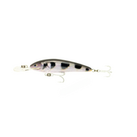 Raptor Jack Snax Suspending Live – 7ft / Archer Fish