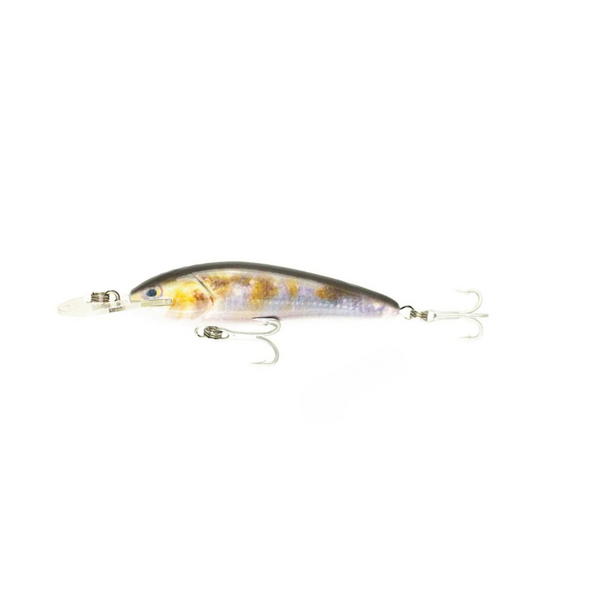 Raptor Jack Snax Suspending Live – 7ft / CoyCarp