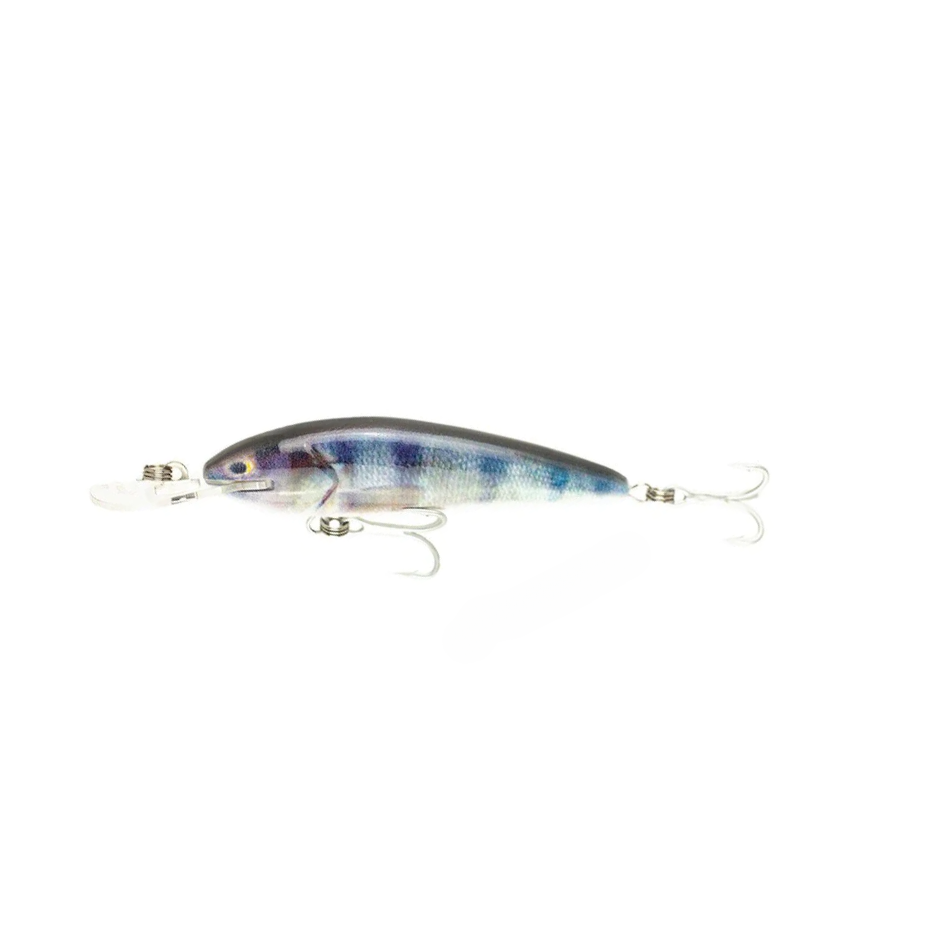 Raptor Jack Snax Suspending Live – 7ft / RedfinPerch