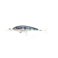 Raptor Jack Snax Suspending Live – 7ft / RedfinPerch