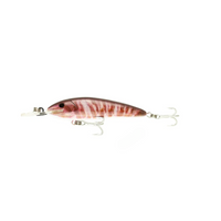 Raptor Jack Snax Suspending Live – 7ft / Prawn