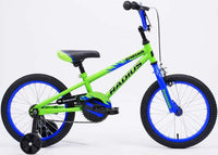 Radius Dinosaur 16-inch kids bike in Green/Blue
