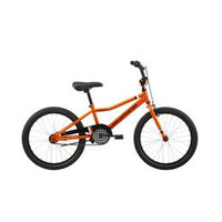 Malvern Star Radmax 20in