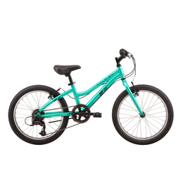 Raleigh Freedom 20"