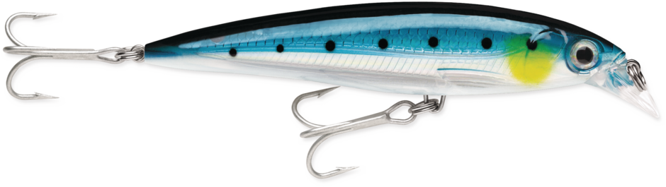 Rapala Saltwater X-Rap 10cm – 10cm / Blue Sardine
