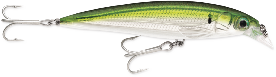 Rapala Saltwater X-Rap 10cm – 10cm / Pilchard