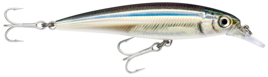 Rapala Saltwater X-Rap 10cm – 10cm / Anchovy