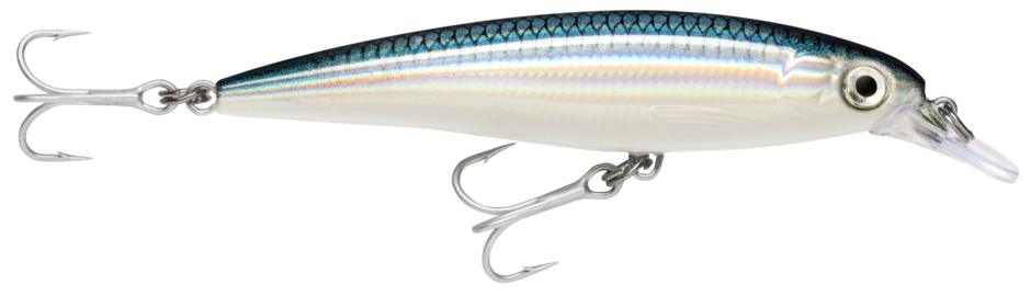 Rapala Saltwater X-Rap 10cm – 10cm / Baitfish
