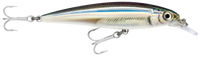 Rapala Saltwater X-Rap 12cm – 12cm / Anchovy