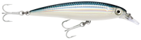 Rapala Saltwater X-Rap 12cm – 12cm / Baitfish