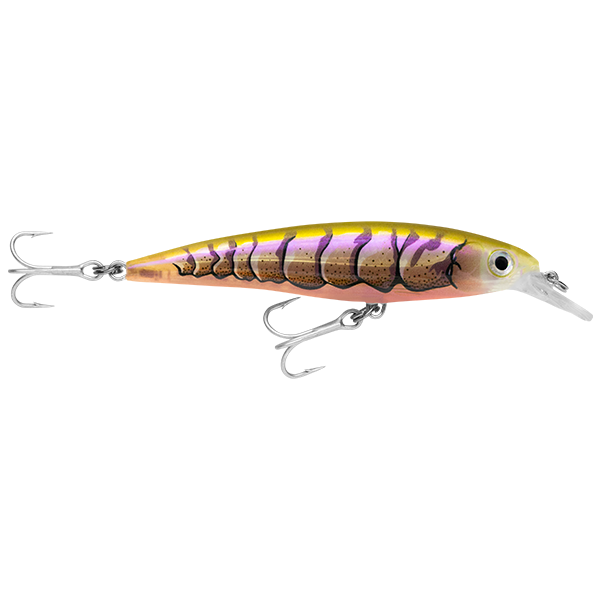 Rapala Saltwater X-Rap 10cm – 10cm / Purple Prawn UV